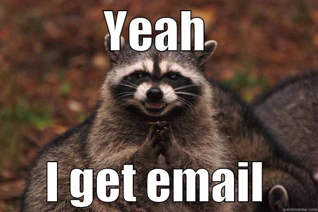 raccoon email